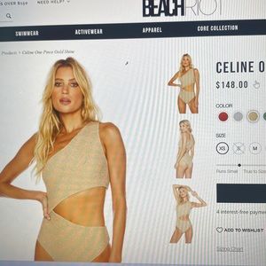 Beach Riot Celine Shine One-Piece Swimsuit